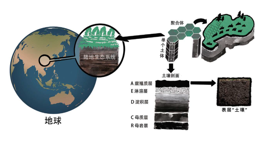 秒懂土壤污染与治理